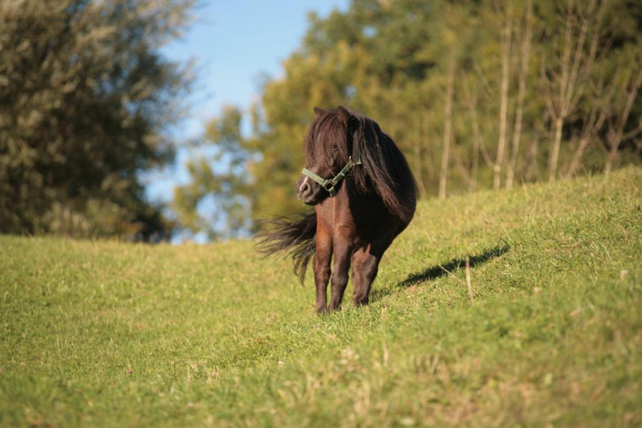 Ferienhof Muehlthal Edling Esterno foto